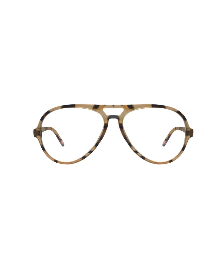 Sydney Light Tortoise Readers