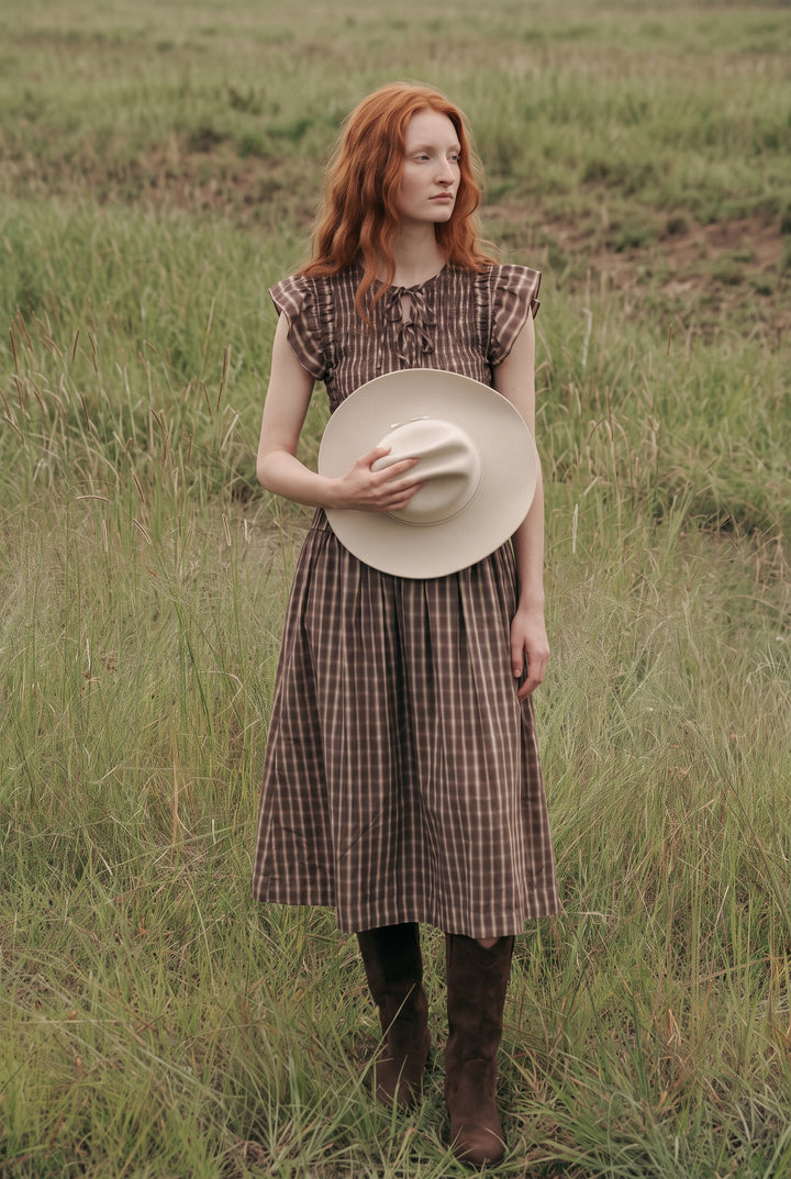 Hailey Brown Gingham Dress