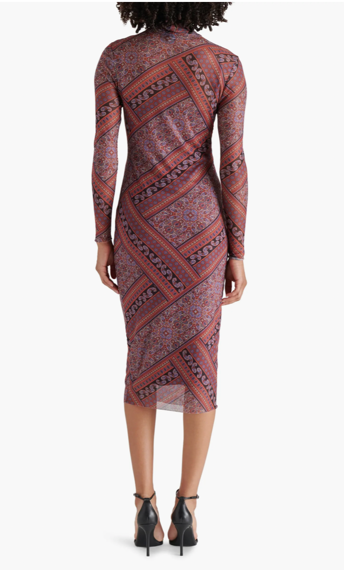 Vivienne Dress Multi Paisley