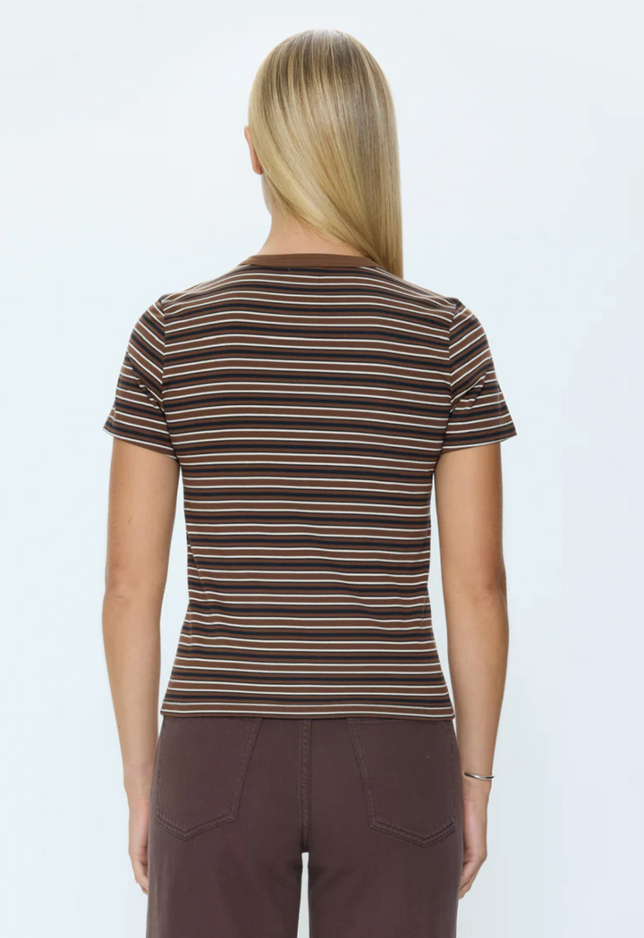 Alba Bruna Black Stripe
